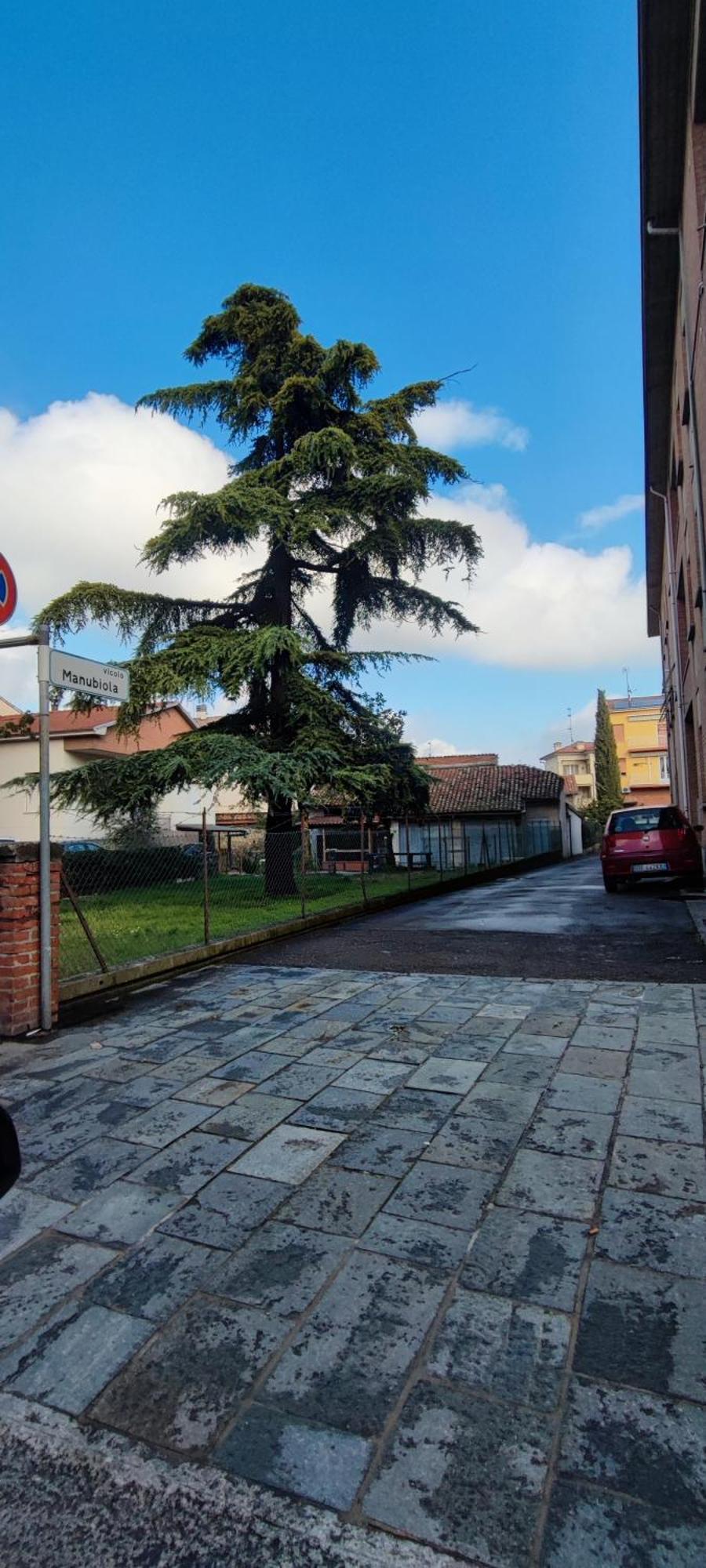 La Porta Verde 8 Collecchio Exteriér fotografie